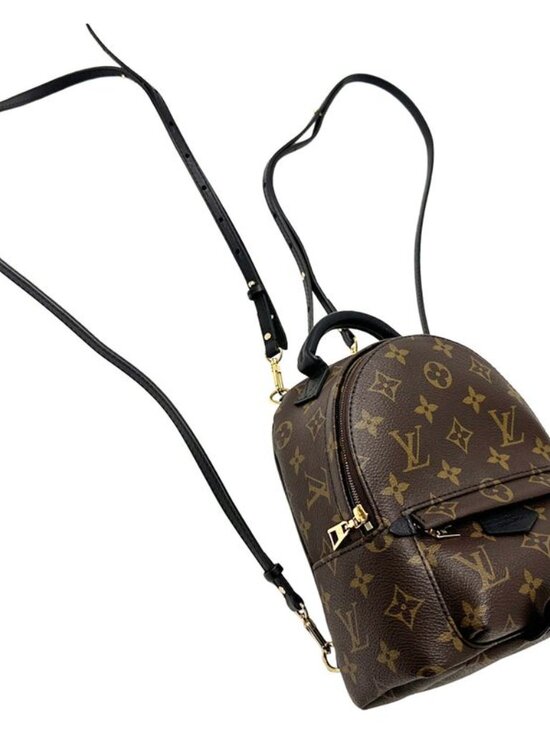 Louis Vuitton Monogram Backpack Palm Spring Mini Brown Black Compact main image 6